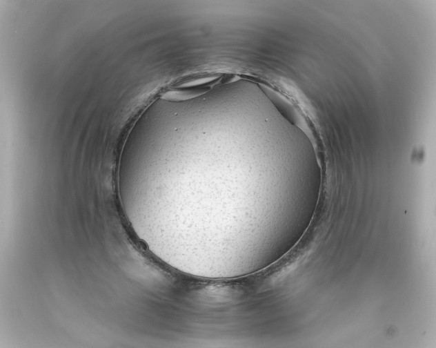 X0000089950441200707201929