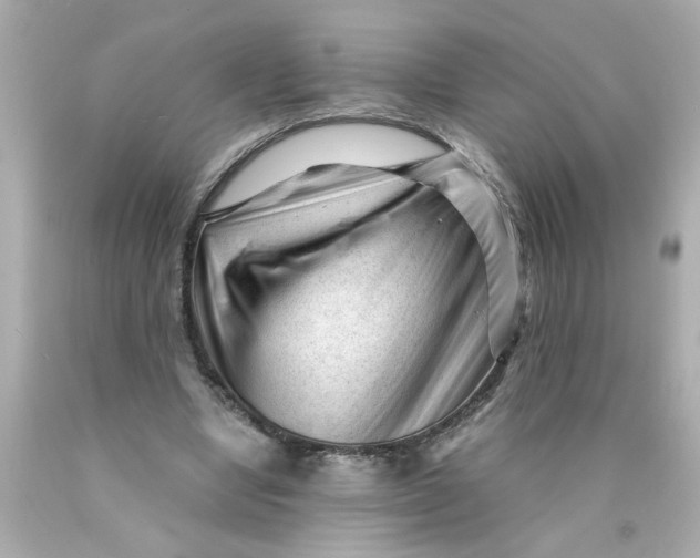 X0000089950442200707201929