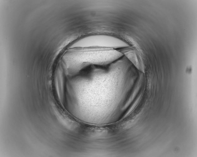 X0000089950443200707201929