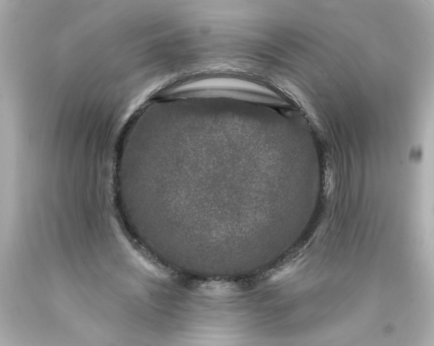 X0000089950444200707201929