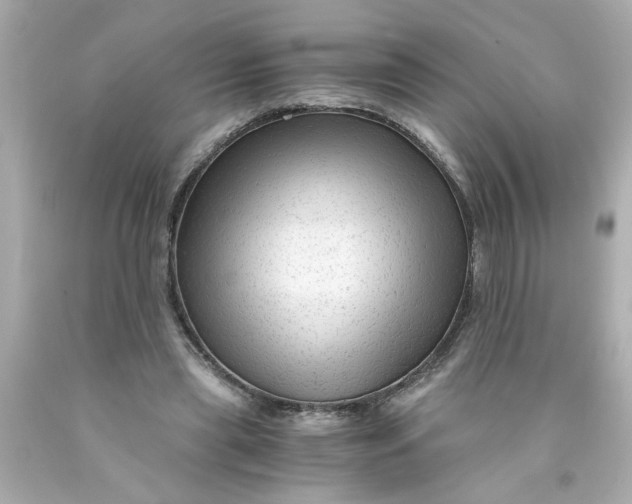 X0000089950445200707201929