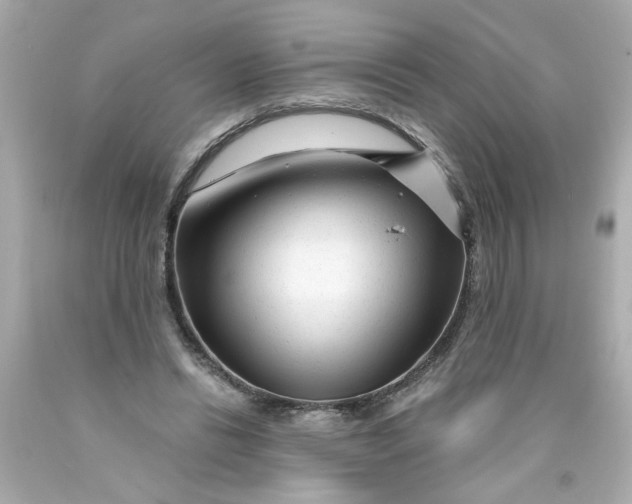 X0000089950446200707201929