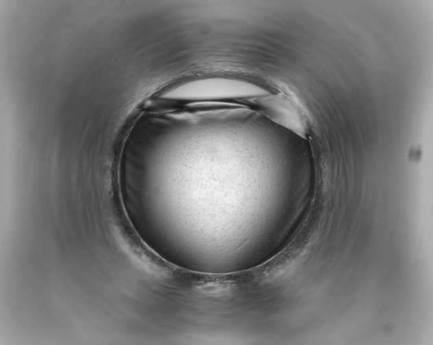 X0000089950447200707201929