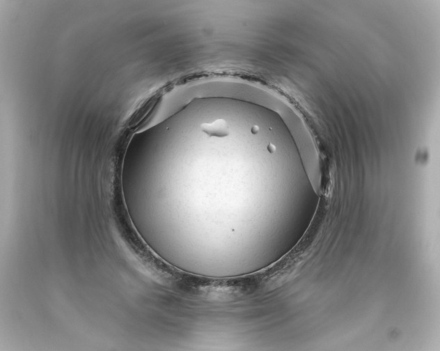 X0000089950448200707201929