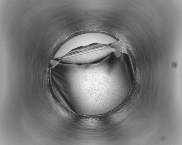 X0000089950449200707201929