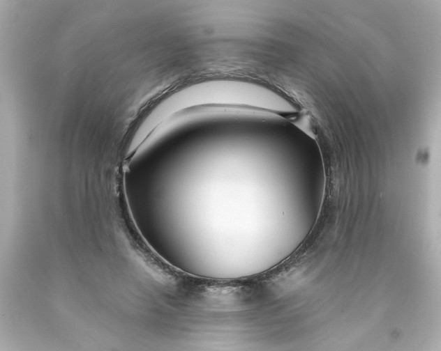 X0000089950450200707201929