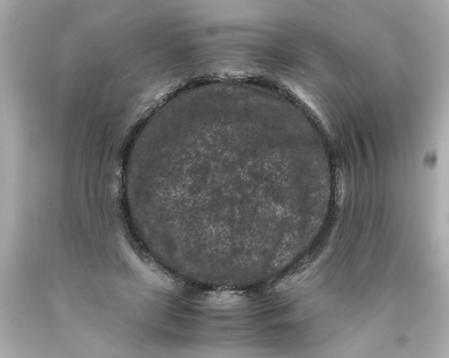 X0000089950451200707201929