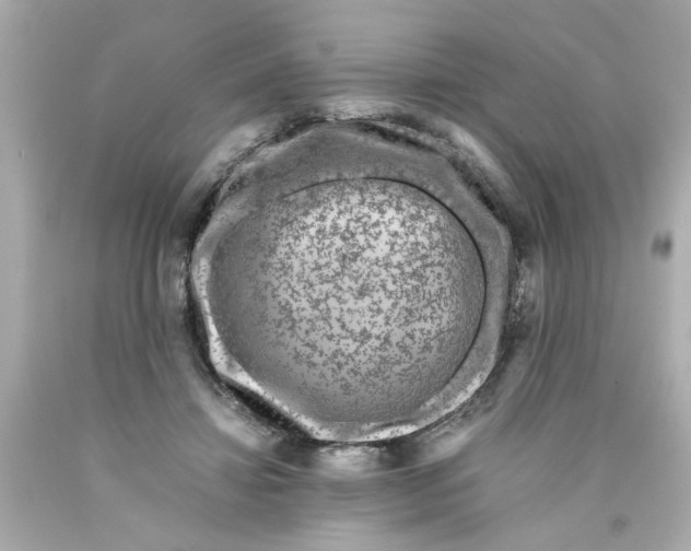 X0000089950452200707201929