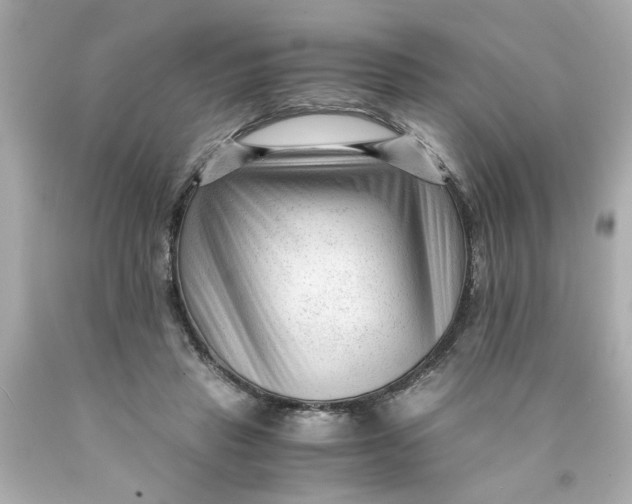 X0000089950453200707201929