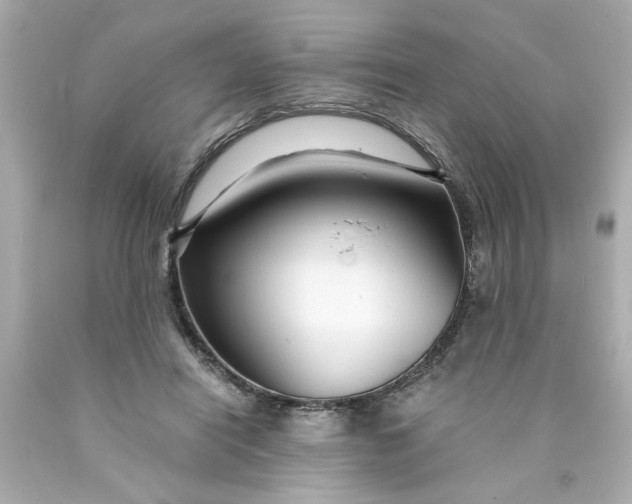 X0000089950454200707201929