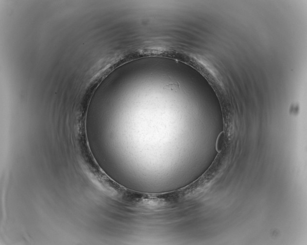 X0000089950455200707201929