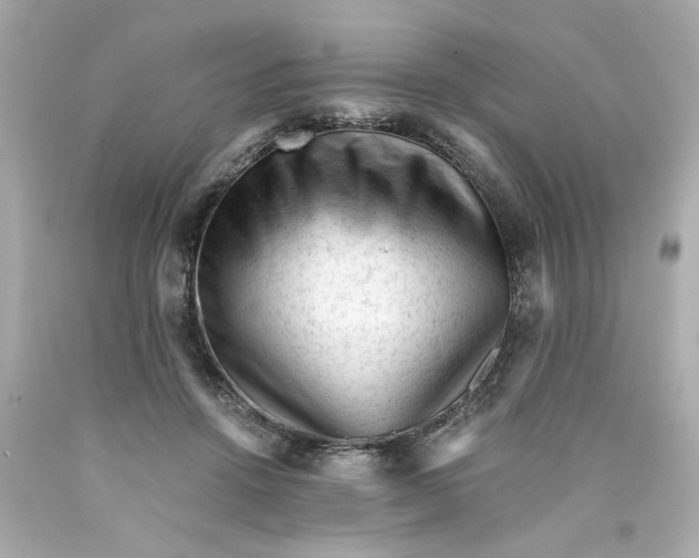 X0000089950456200707201929