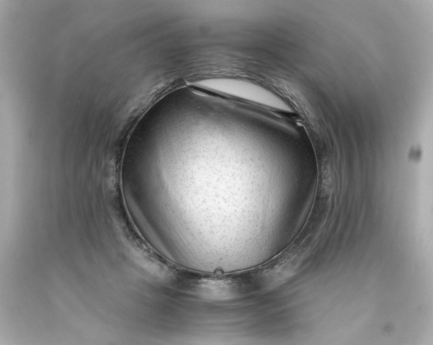 X0000089950457200707201929