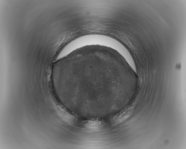 X0000089950458200707201929