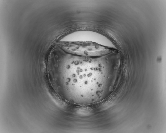 X0000089950459200707201929