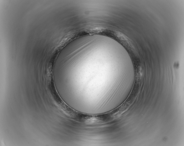 X0000089950460200707201929