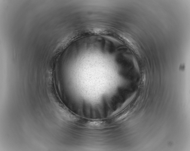 X0000089950461200707201929