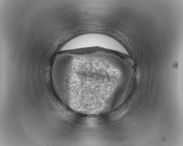 X0000089950462200707201929