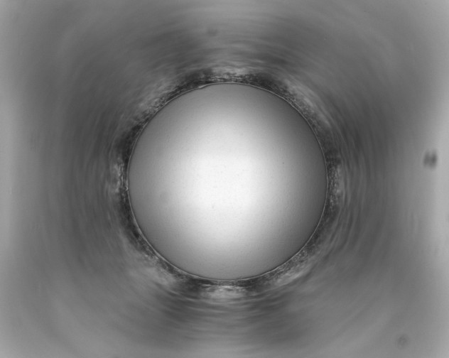 X0000089950463200707201929