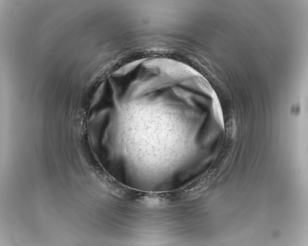 X0000089950464200707201929