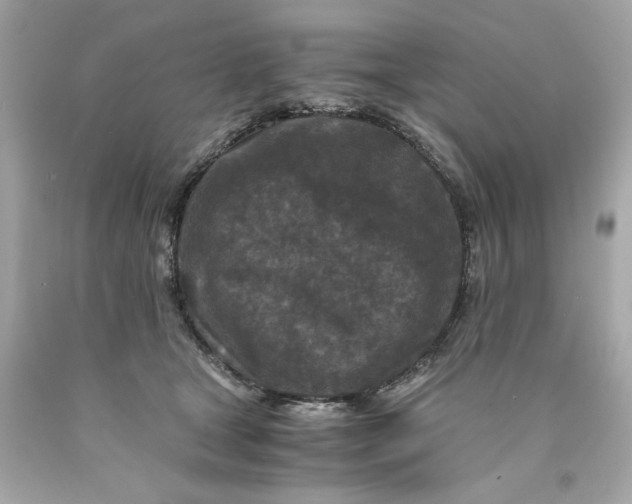 X0000089950465200707201929