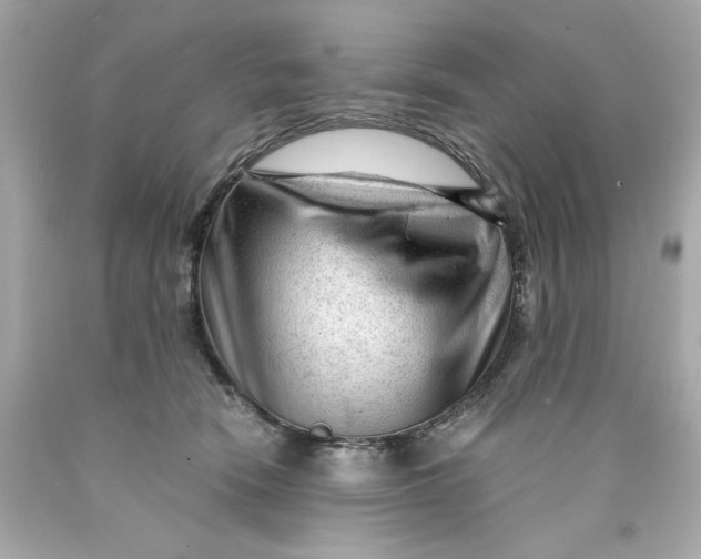 X0000089950466200707201929