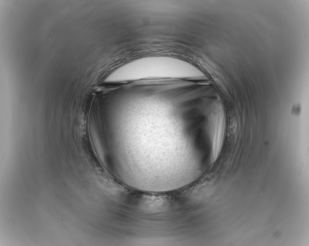 X0000089950469200707201929