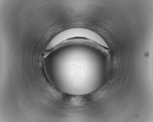 X0000089950470200707201929