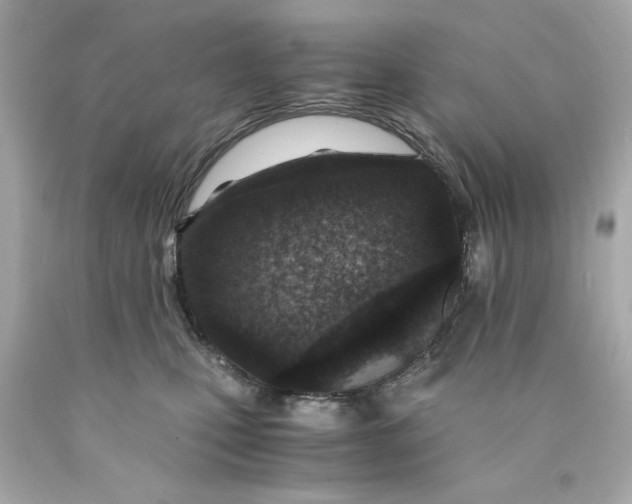 X0000089950471200707201929