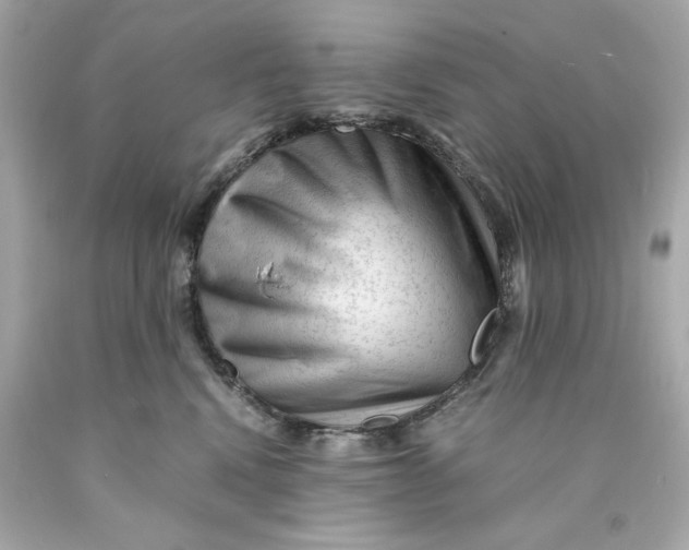 X0000089950472200707201929