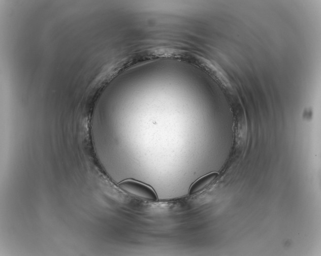 X0000089950473200707201929