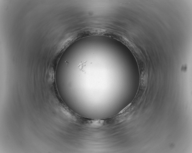 X0000089950474200707201929