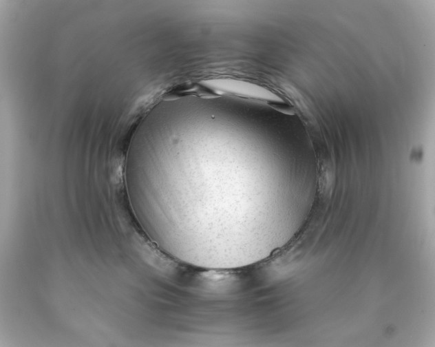 X0000089950477200707201929