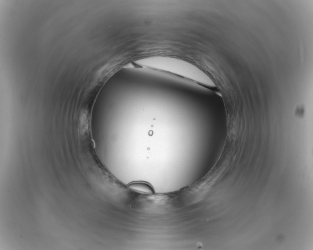 X0000089950478200707201929