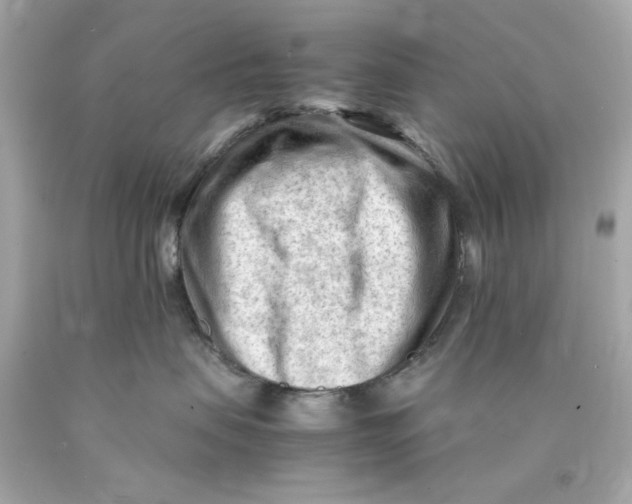 X0000089950479200707201929