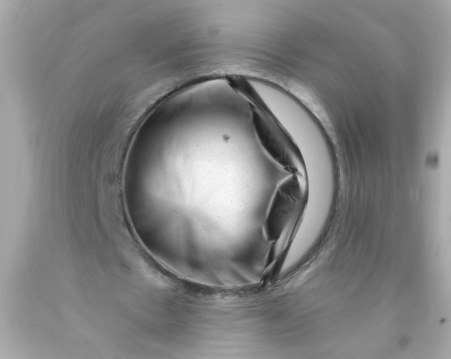 X0000089950481200707201929