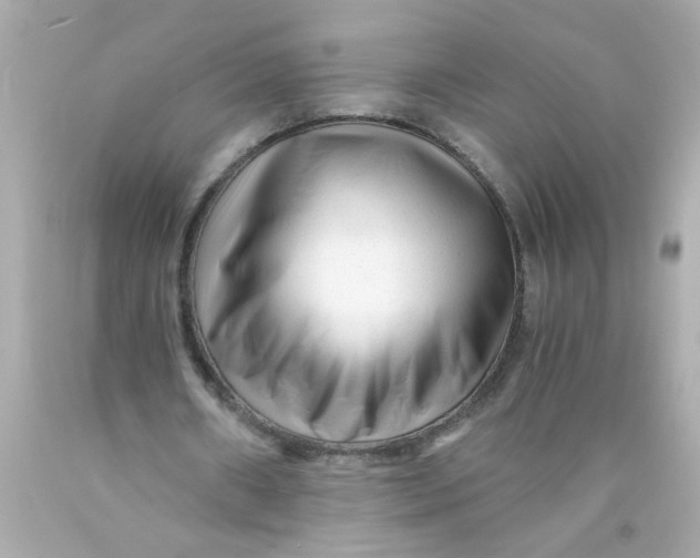 X0000089950482200707201929