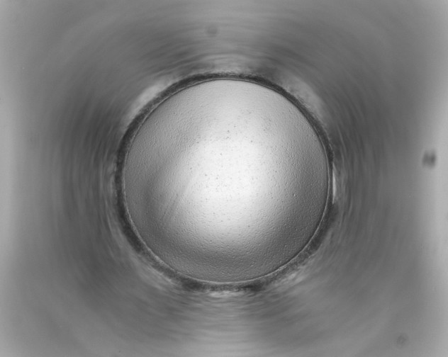 X0000089950483200707201929