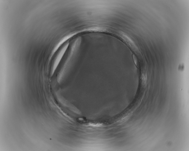 X0000089950484200707201929