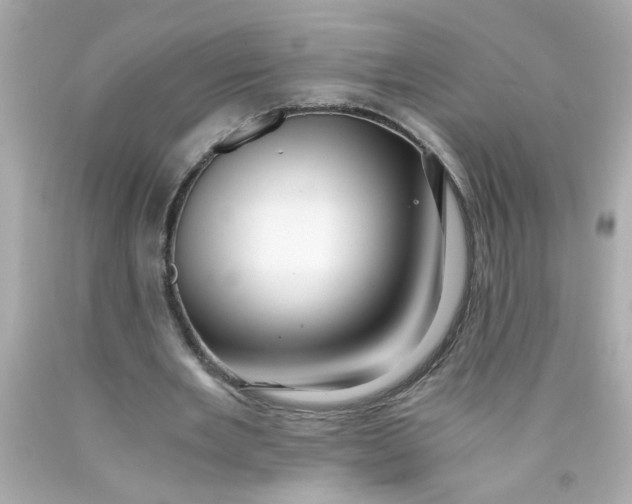 X0000089950485200707201929