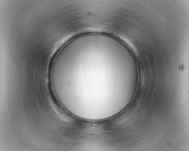 X0000089950486200707201929