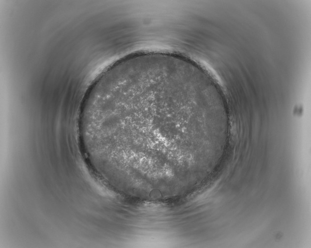 X0000089950487200707201929