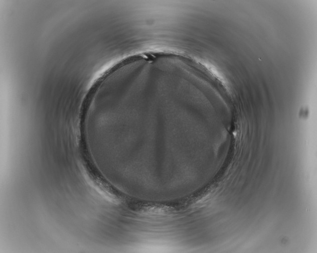 X0000089950488200707201929