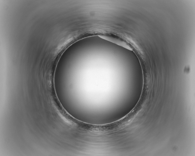 X0000089950489200707201929