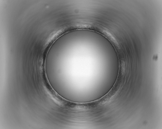 X0000089950490200707201929