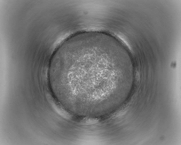 X0000089950491200707201929