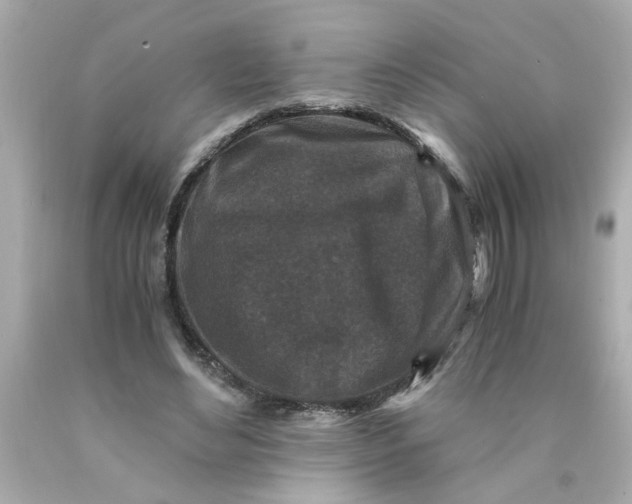 X0000089950492200707201929