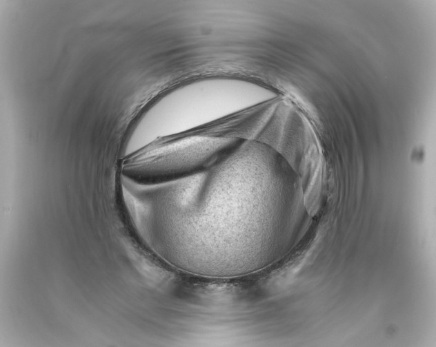 X0000089950493200707201929