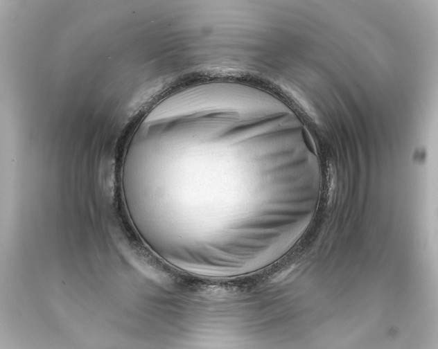 X0000089950494200707201929