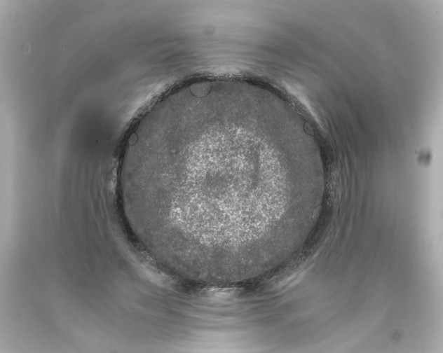 X0000089950495200707201929